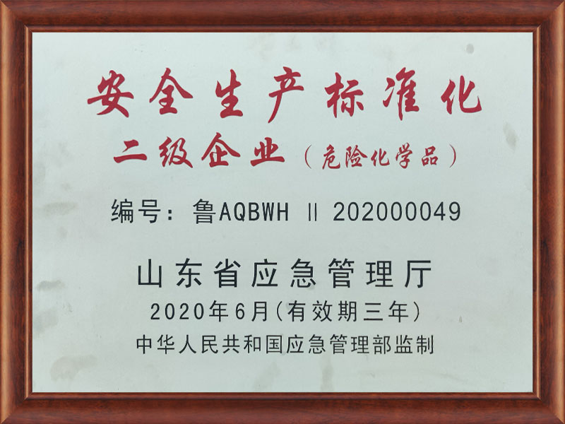 安全生產標準化二級企業