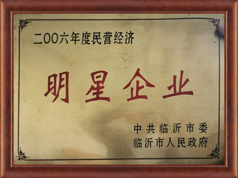 民營經濟明星企業